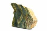 Free-Standing, Gary Green Jasper (Larsonite) Bog Wood - Oregon #334811-1